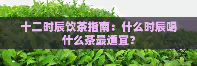 十二时辰饮茶指南：什么时辰喝什么茶最适宜？