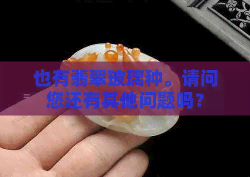 也有翡翠玻璃种。请问您还有其他问题吗？