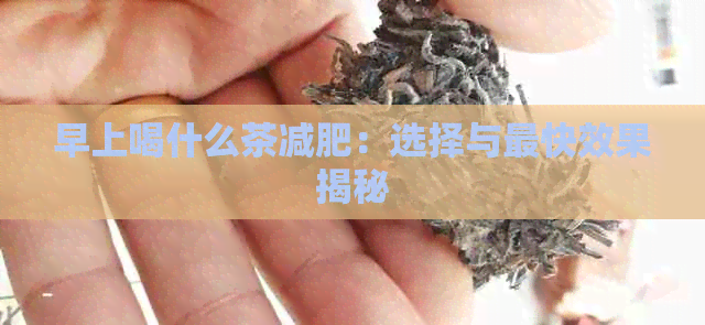 早上喝什么茶减肥：选择与最快效果揭秘