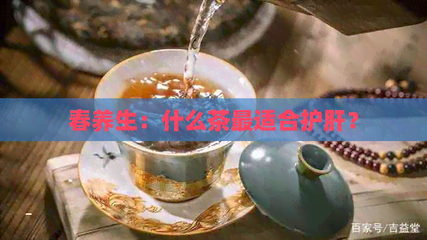 春养生：什么茶最适合护肝？