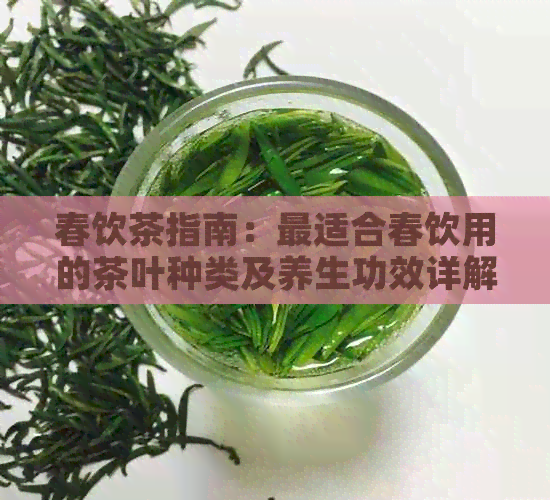 春饮茶指南：最适合春饮用的茶叶种类及养生功效详解