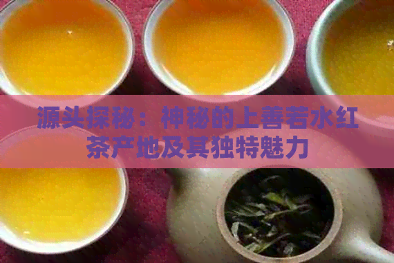 源头探秘：神秘的上善若水红茶产地及其独特魅力