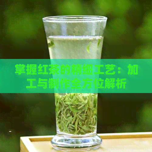 掌握红茶的精细工艺：加工与制作全方位解析