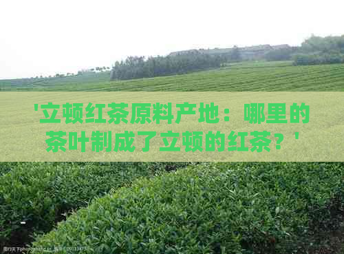 '立顿红茶原料产地：哪里的茶叶制成了立顿的红茶？'