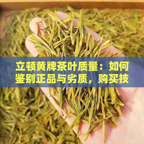 立顿黄牌茶叶质量：如何鉴别正品与劣质，购买技巧与口感对比分析