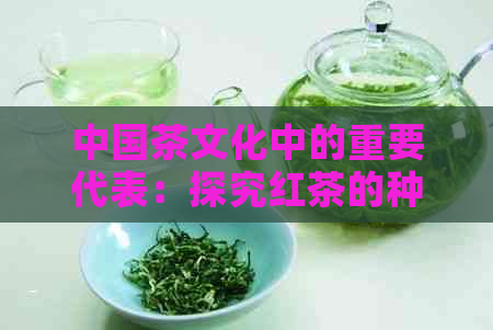 中国茶文化中的重要代表：探究红茶的种类与产地