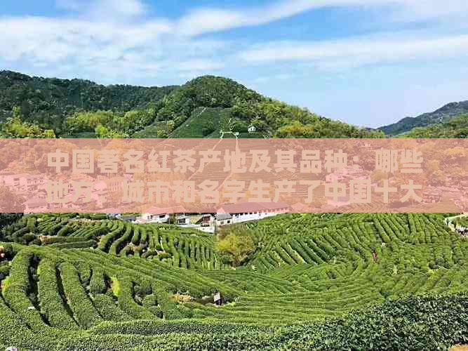 中国著名红茶产地及其品种：哪些地方、城市和名字生产了中国十大红茶？