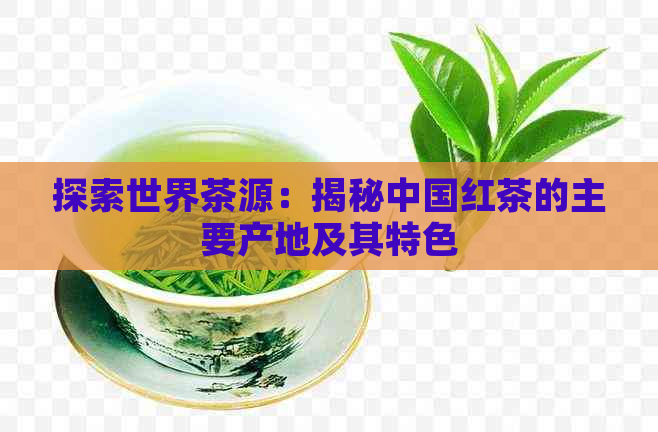 探索世界茶源：揭秘中国红茶的主要产地及其特色