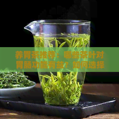 养胃茶推荐：哪些茶叶对胃肠功能有益？如何选择适合自己体质的养胃茶？