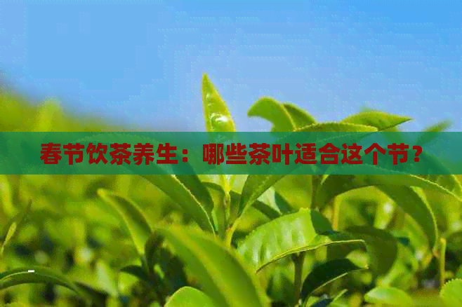 春节饮茶养生：哪些茶叶适合这个节？