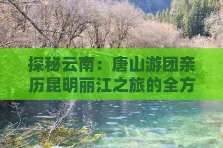 探秘云南：唐山游团亲历昆明丽江之旅的全方位攻略与价格分析