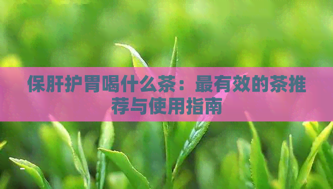 保肝护胃喝什么茶：最有效的茶推荐与使用指南