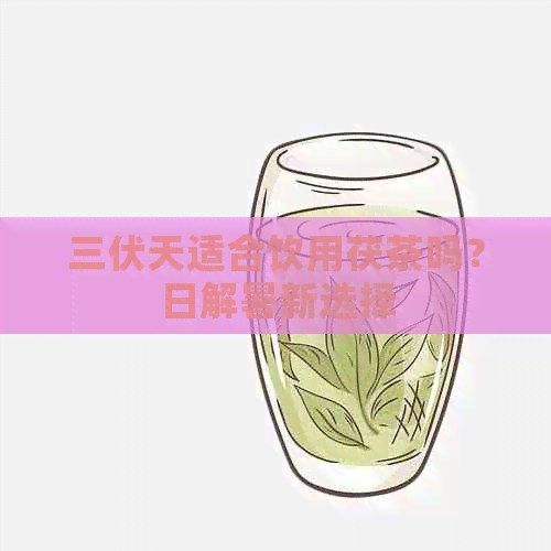 三伏天适合饮用茯茶吗？日解暑新选择