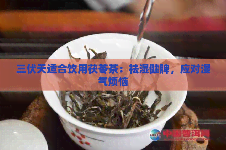 三伏天适合饮用茯苓茶：祛湿健脾，应对湿气烦恼