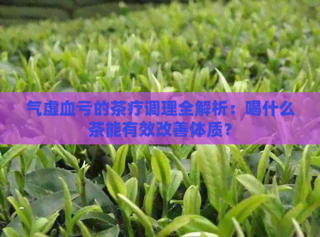 气虚血亏的茶疗调理全解析：喝什么茶能有效改善体质？