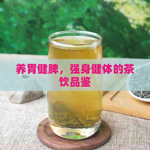 养胃健脾，强身健体的茶饮品鉴