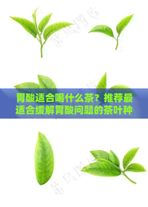 胃酸适合喝什么茶？推荐最适合缓解胃酸问题的茶叶种类