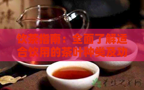 饮茶指南：全面了解适合饮用的茶叶种类及功效