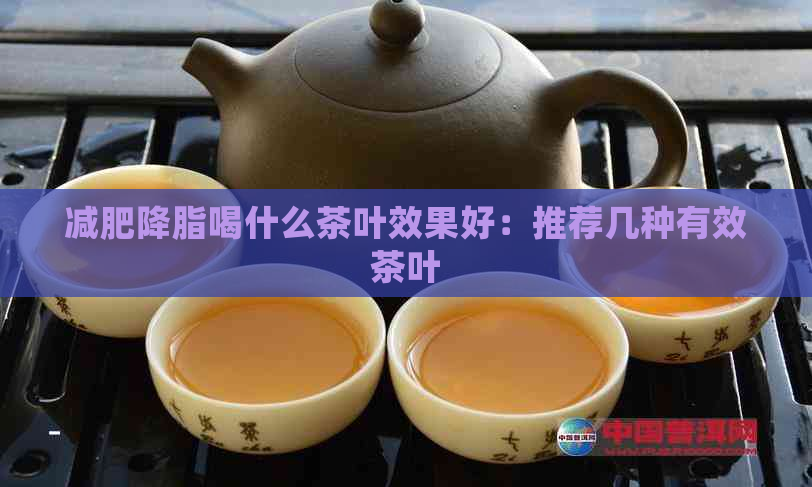 减肥降脂喝什么茶叶效果好：推荐几种有效茶叶