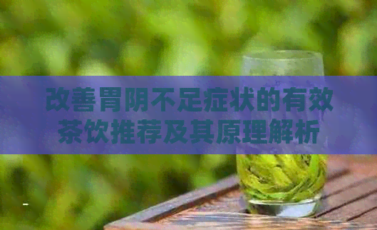 改善胃阴不足症状的有效茶饮推荐及其原理解析