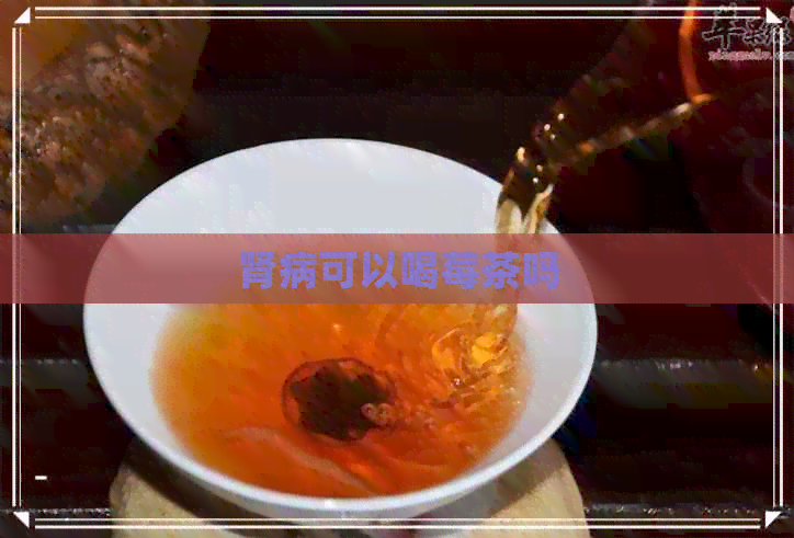 肾病可以喝莓茶吗