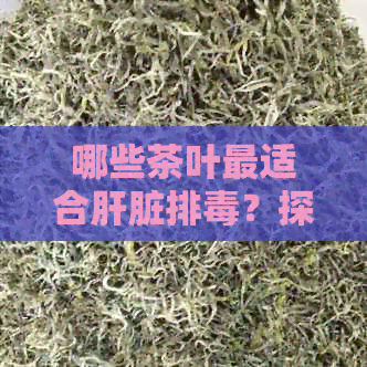 哪些茶叶最适合肝脏排？探索各种茶的排效果及使用方法