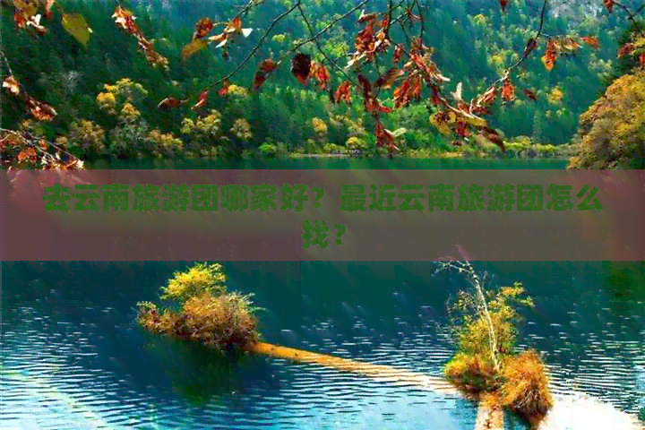 去云南旅游团哪家好？最近云南旅游团怎么找？