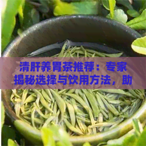 清肝养胃茶推荐：专家揭秘选择与饮用方法，助你远离肝脏困扰