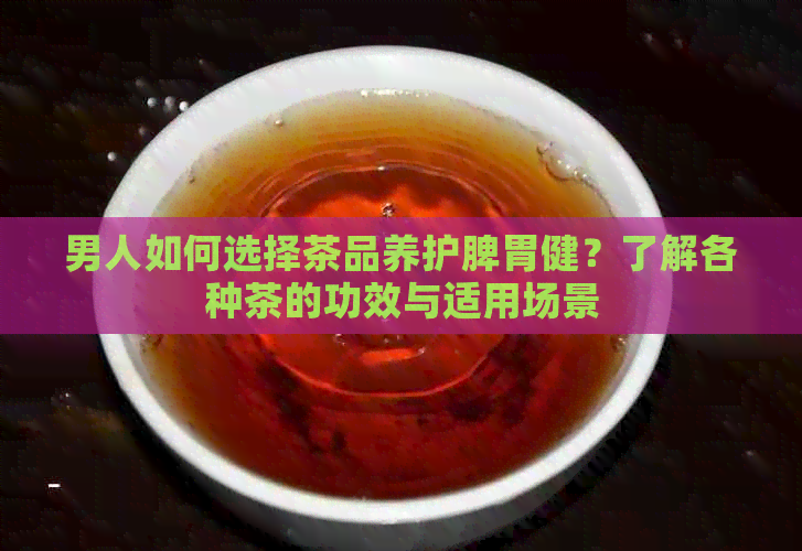 男人如何选择茶品养护脾胃健？了解各种茶的功效与适用场景