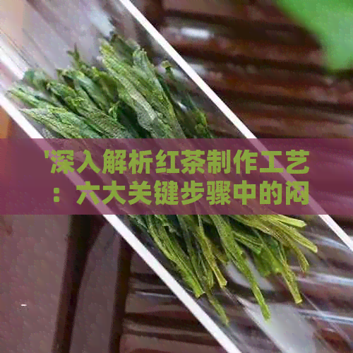 '深入解析红茶制作工艺：六大关键步骤中的闷黄环节'