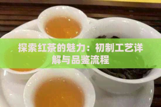探索红茶的魅力：初制工艺详解与品鉴流程