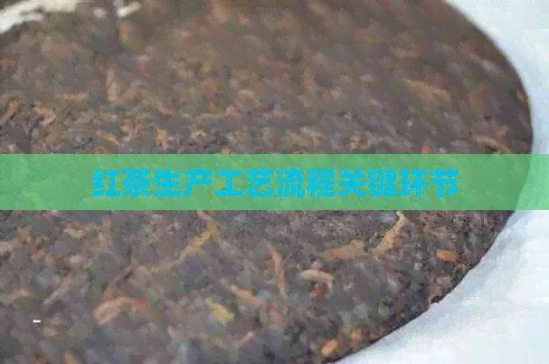 红茶生产工艺流程关键环节