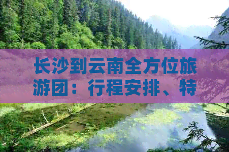 长沙到云南全方位旅游团：行程安排、特色景点、住宿及交通详解