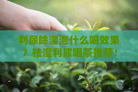 利尿除湿泡什么喝效果？祛湿利尿喝茶推荐！