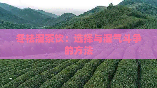 冬祛湿茶饮：选择与湿气斗争的方法