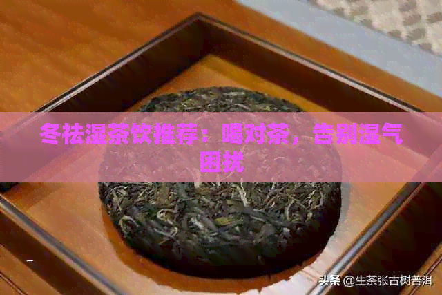 冬祛湿茶饮推荐：喝对茶，告别湿气困扰