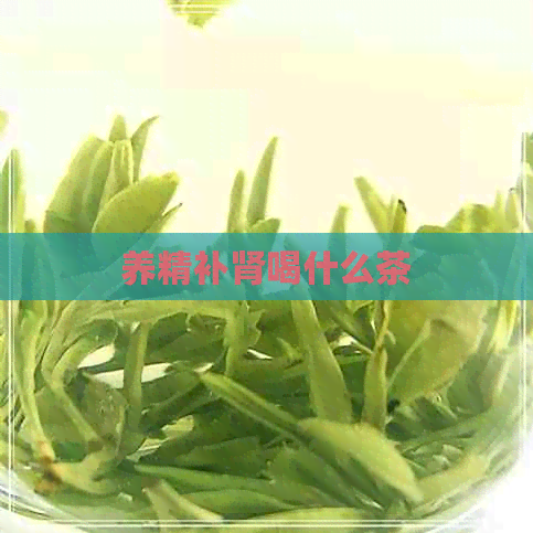 养精补肾喝什么茶