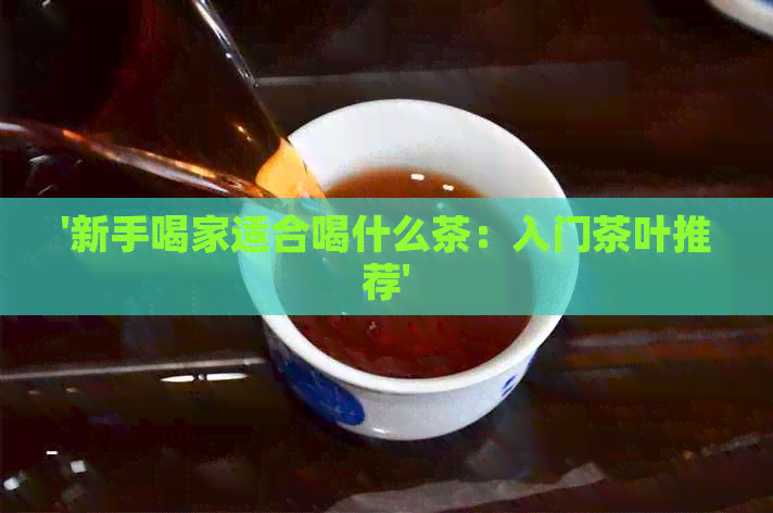 '新手喝家适合喝什么茶：入门茶叶推荐'