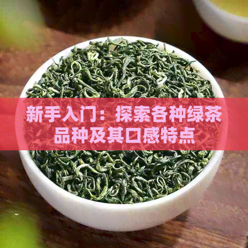 新手入门：探索各种绿茶品种及其口感特点