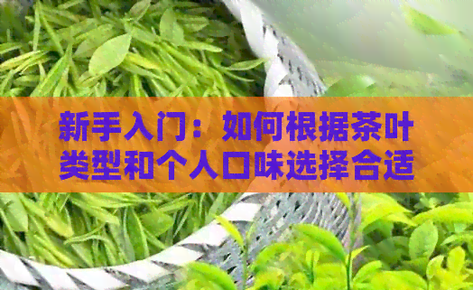 新手入门：如何根据茶叶类型和个人口味选择合适的茶品？