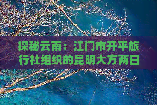 探秘云南：江门市开平旅行社组织的昆明大方两日游全攻略