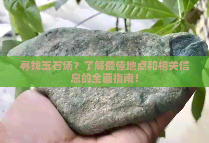 寻找玉石场？了解更佳地点和相关信息的全面指南！