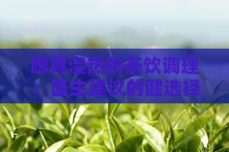 脾胃湿热的茶饮调理：医生建议的健选择