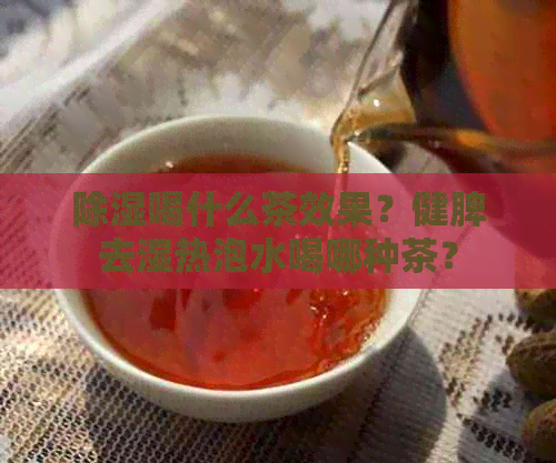 除湿喝什么茶效果？健脾去湿热泡水喝哪种茶？