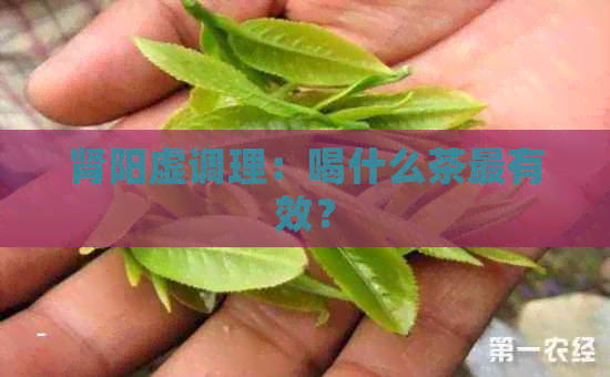 肾阳虚调理：喝什么茶最有效？