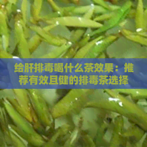 给肝排喝什么茶效果：推荐有效且健的排茶选择