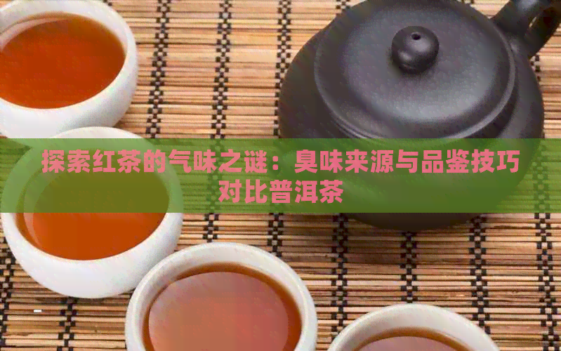 探索红茶的气味之谜：臭味来源与品鉴技巧对比普洱茶