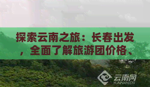 探索云南之旅：长春出发，全面了解旅游团价格、行程及注意事项