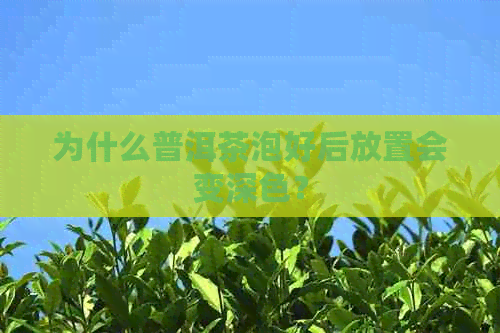 为什么普洱茶泡好后放置会变深色？