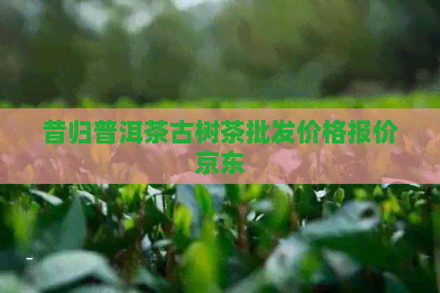 昔归普洱茶古树茶批发价格报价京东